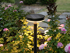 Garden lights Garden lights