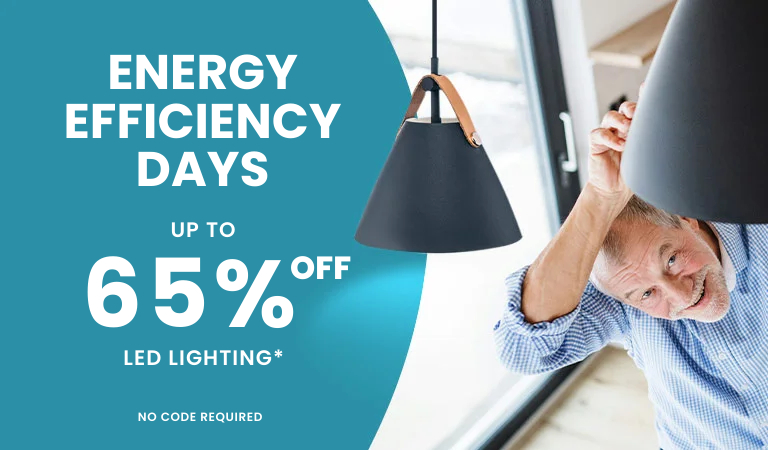 Energy Effiency Days